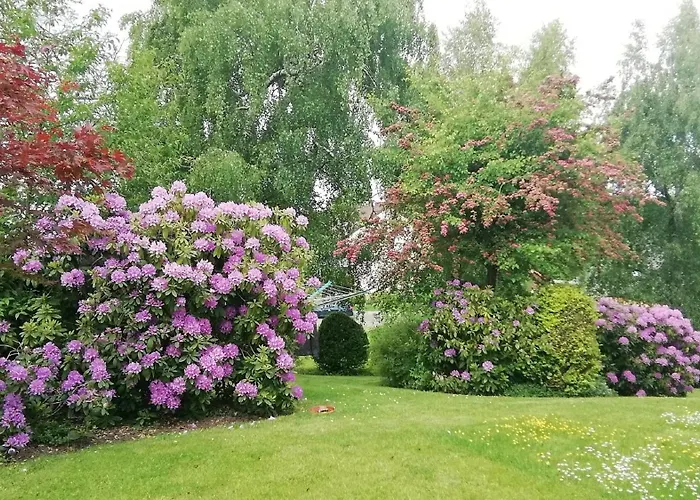 Christel 埃克斯特塔尔